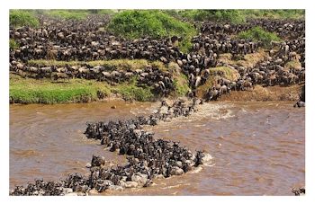 Visita Maasai Mara